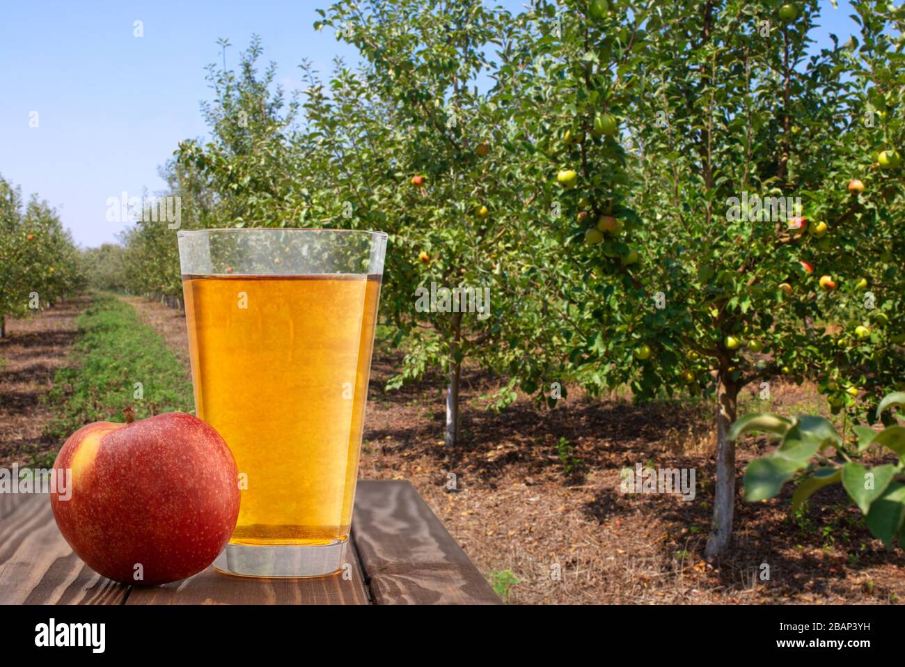 succo di mela in un bicchiere su sfondo giardino Foto Stock