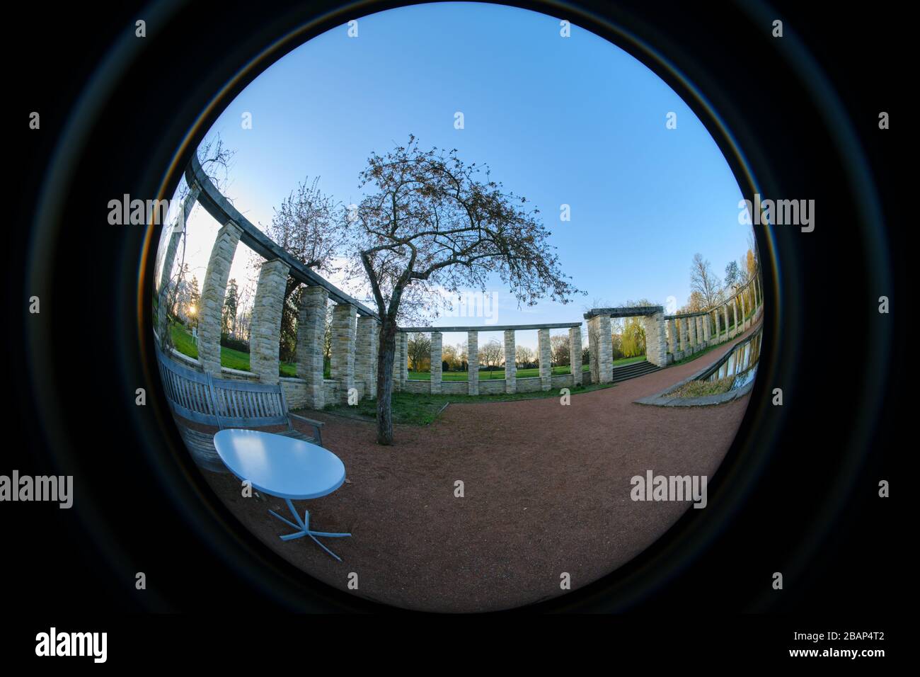 Vista a fisheye circolare ultra larga di un albero e tavolo in un parco a Dusseldorf Foto Stock
