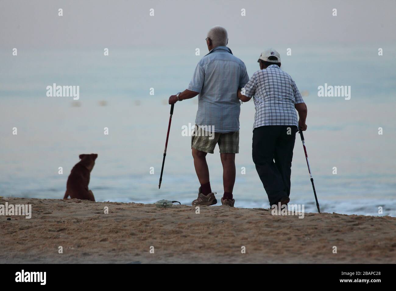 Una coppia di anziani si è fatta una mano nella mano lungo la costa. Un cane randagio li ha osservati. Foto Stock