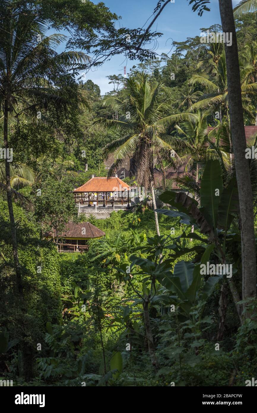 Vista panoramica dell'edificio del tempio Hindu Balinese con piastrelle rosse attraverso il lussureggiante verde della giungla in una luminosa giornata di sole. Foto Stock