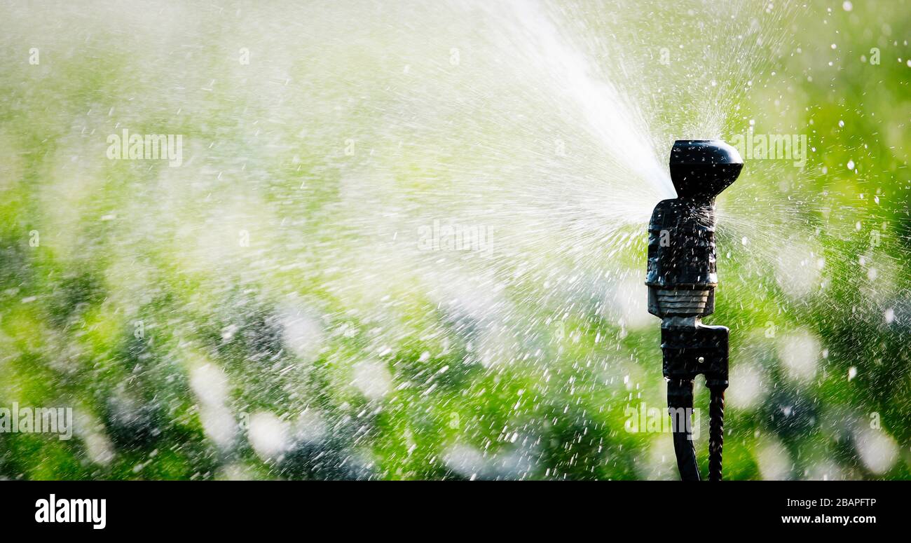 Impianto di irrigazione in funzione di irrigazione di piante agricole Foto Stock