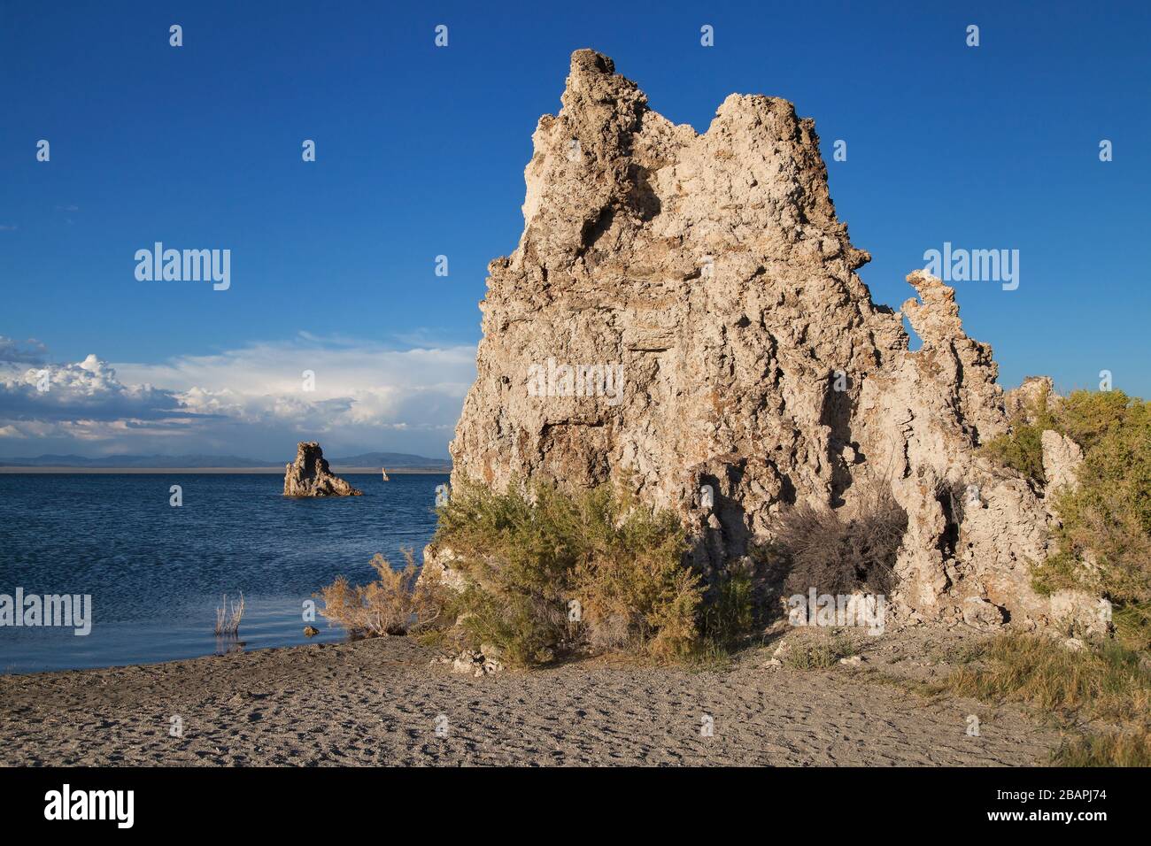 Formazione di roccia tufa al lago Mono, nella Contea di Mono, California, USA. Foto Stock