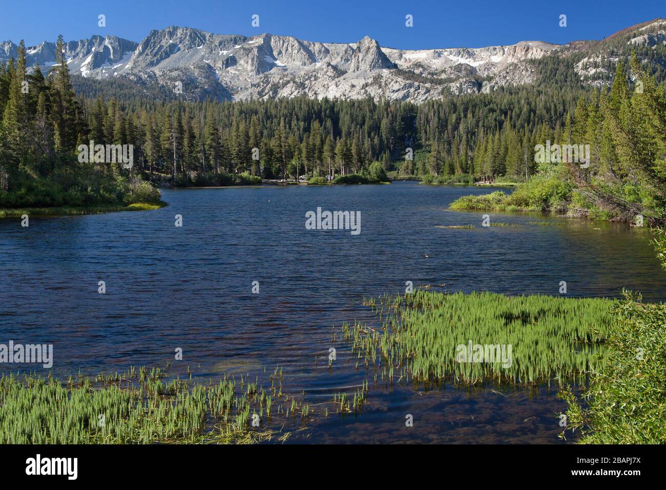 Twin Lakes Vista, Mammoth Lakes, Mono County, California, Stati Uniti. Foto Stock