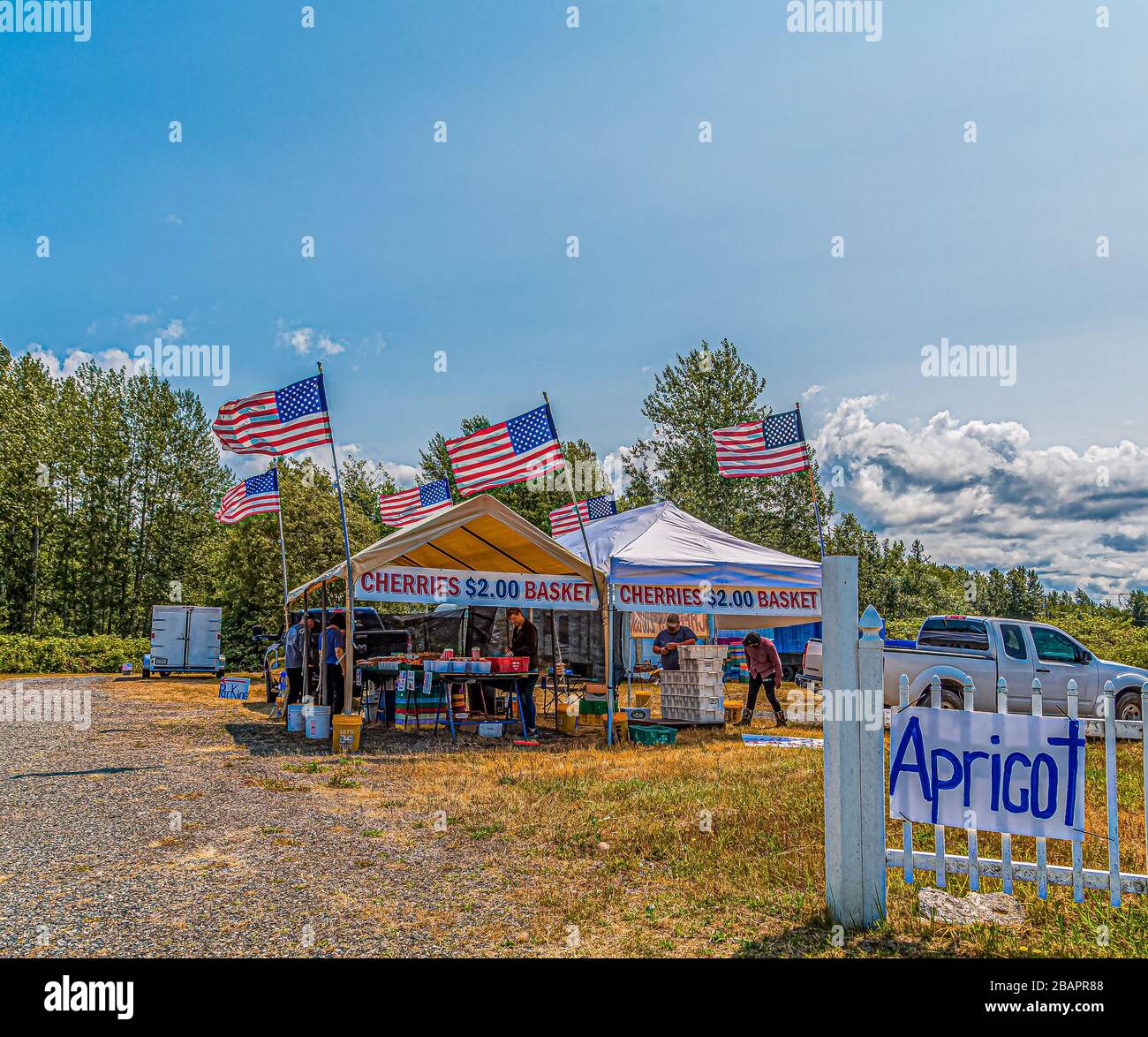 BELLINGHAM, WASHINGTON - 6 luglio 2019: All'inizio del secolo, oltre 1/3 della forza lavoro, furono impiegati nell'agricoltura. È secondo solo al Foto Stock