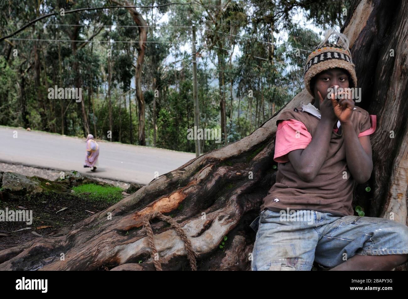 I bambini nella foresta di Eucalipto del Monte Entoto sopra Addis Abeba, Etiopia. Le foreste sacre dell'Etiopia del nord. Foto Stock