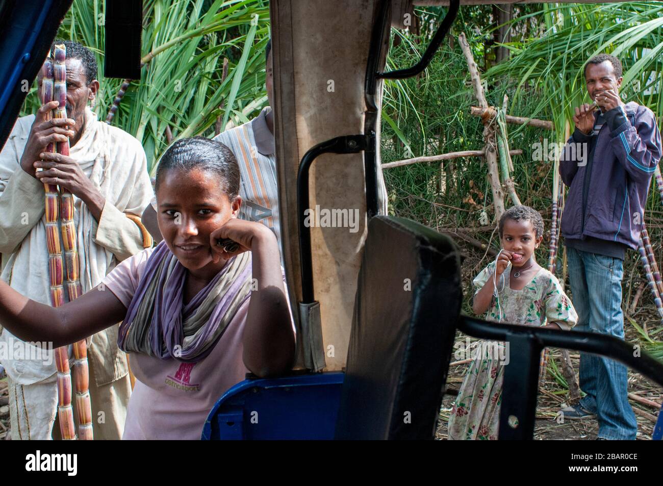 Strada tra da Wukro a Mekele, Etiopia. Molti lavoratori che tagliare canne da zucchero sulla strada da Wukro a Mekele. In Wukro, nel Tigray, nord o Foto Stock