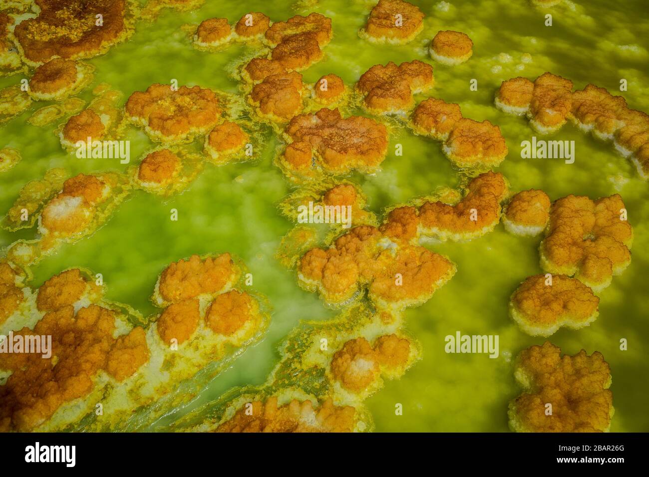 Formazioni di zolfo nella depressione del Danakil, Etiopia settentrionale. Foto Stock