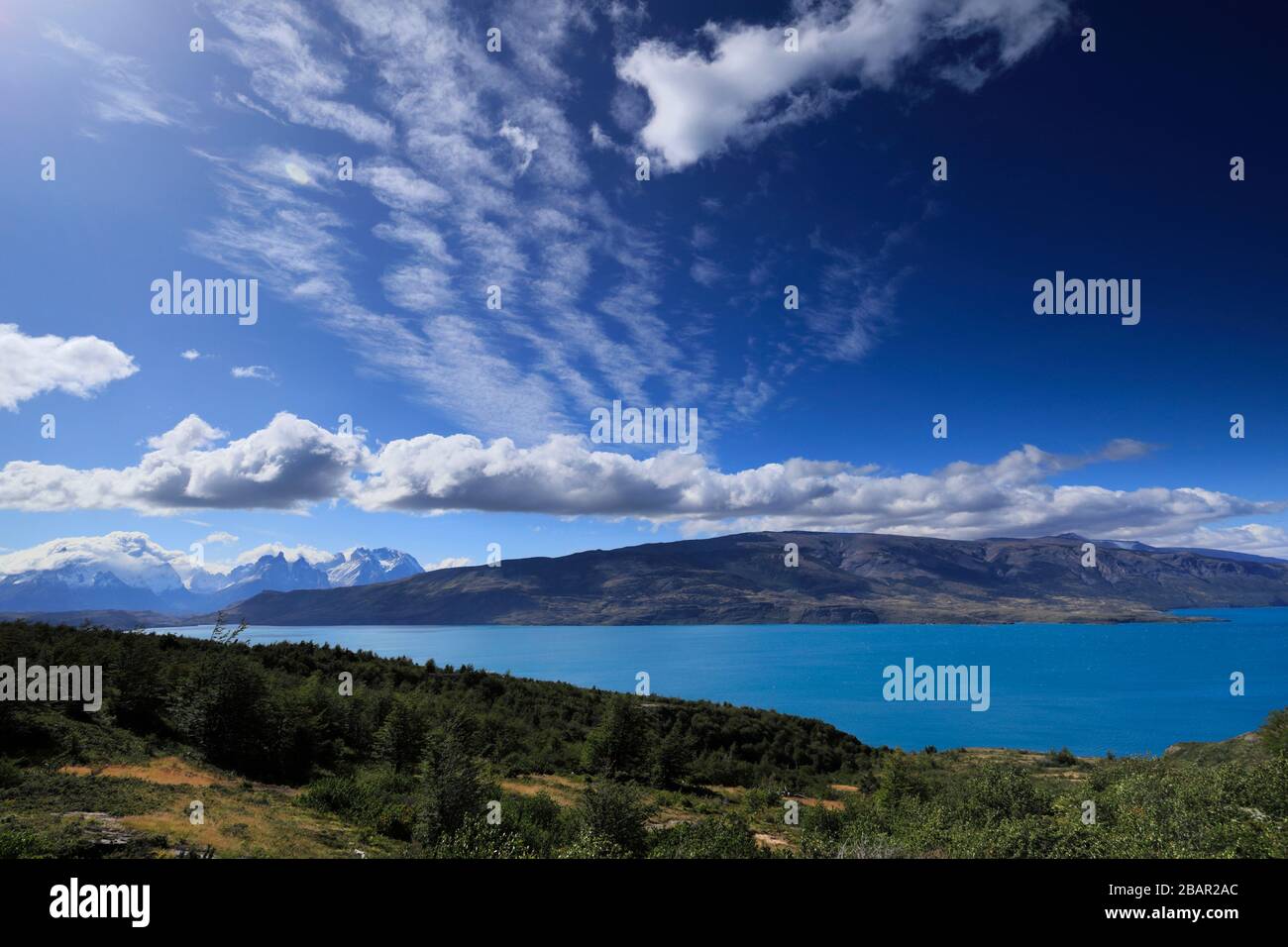 Vista estiva del Lago del Torro, Torres de Paine, regione Magallanes, Patagonia, Cile, Sud America Foto Stock