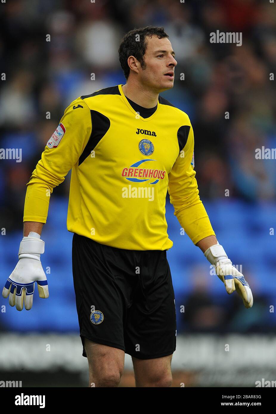 Chris Weale, portiere di Shrewsbury Foto Stock