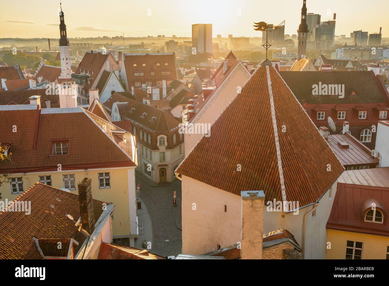 Vista dall'alto della città vecchia di Tallinn, Estonia. Foto Stock