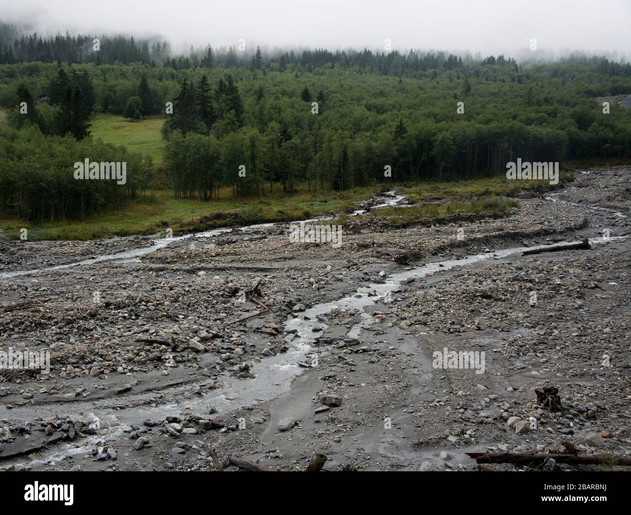 vista sulla pianura alluvionale di importanza nazionale in val ferret, vallese, svizzera Foto Stock