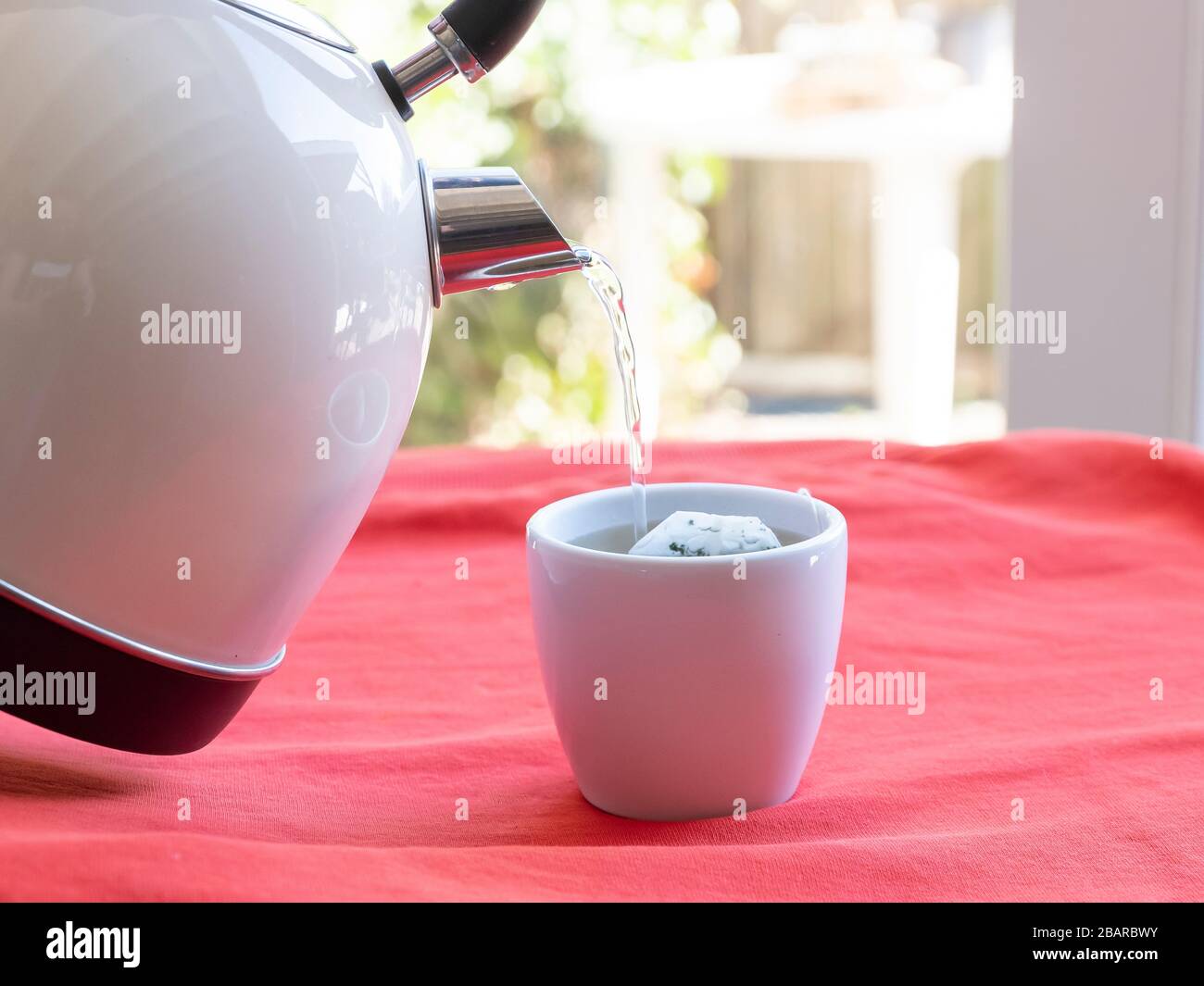 Bollitore Elettrico Con Acqua Bollente Per Il Te Alle Erbe Sacchetto Da Te In Una Tazza