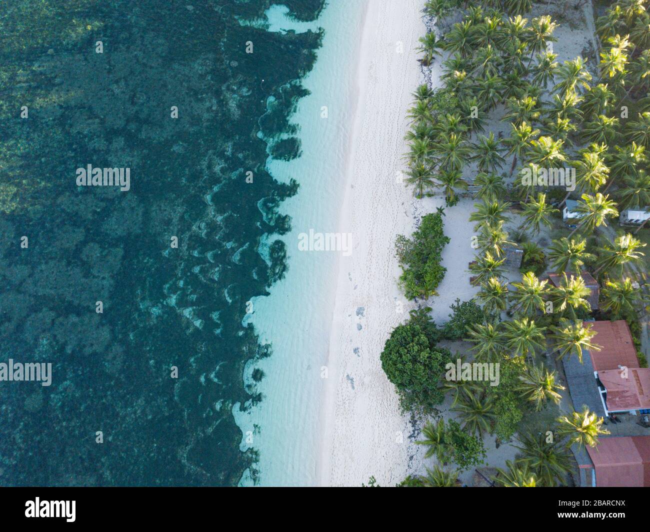 Veduta aerea dall'alto verso il basso di Algeria Beach su un'isola tropicale paradisiaca di Siargao, Filippine Foto Stock