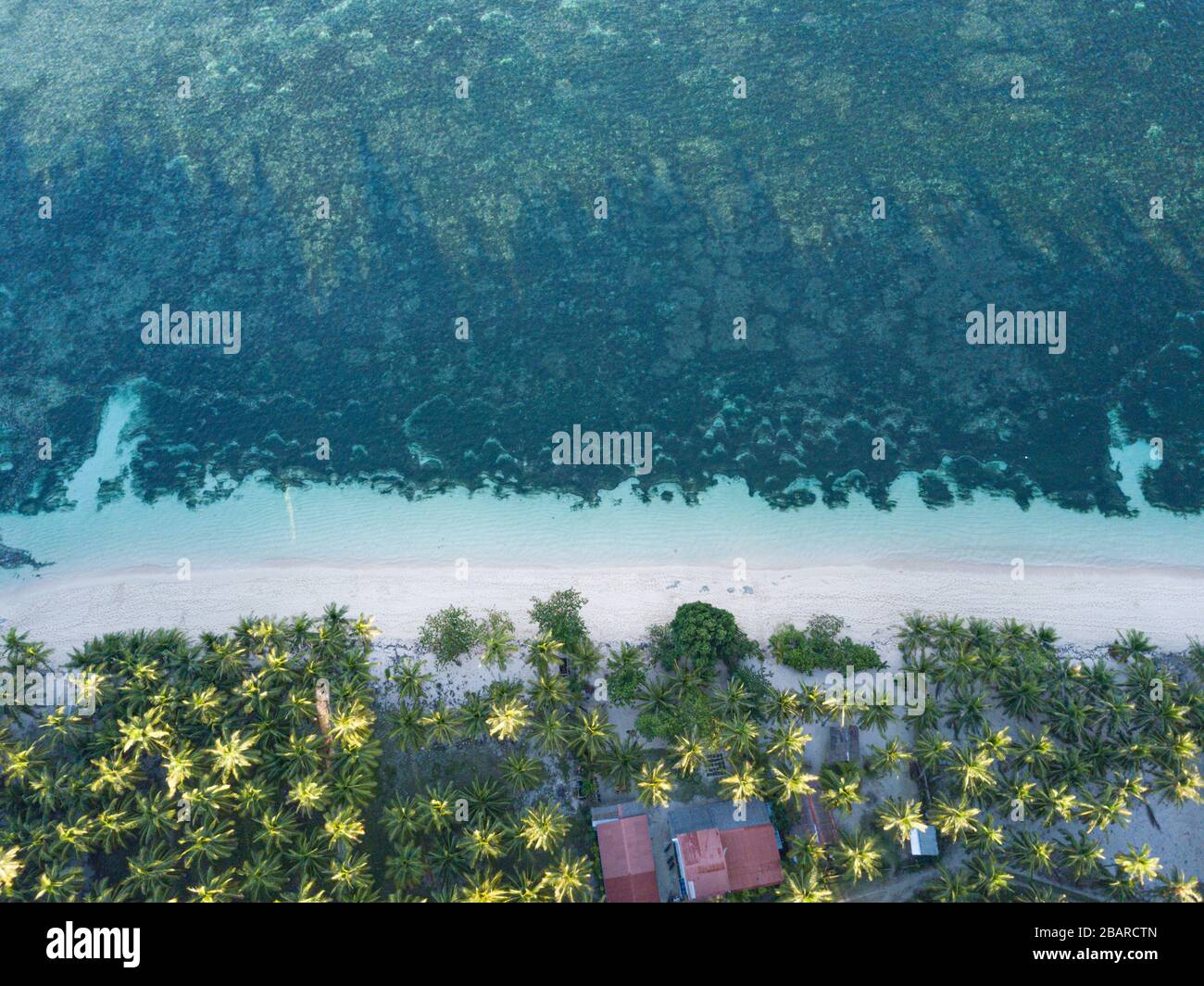 Veduta aerea dall'alto verso il basso di Algeria Beach su un'isola tropicale paradisiaca di Siargao, Filippine Foto Stock