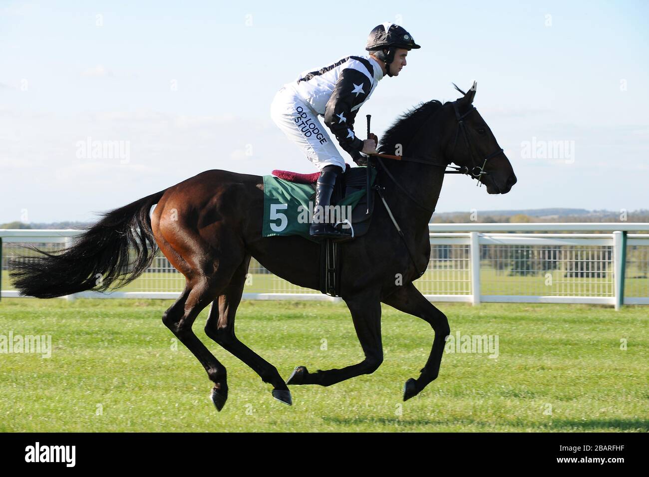 Jockey Andrew Tinkler su MR Robinson va a post per il Linden Homes Roman View Greens Norton handicap hindle Foto Stock