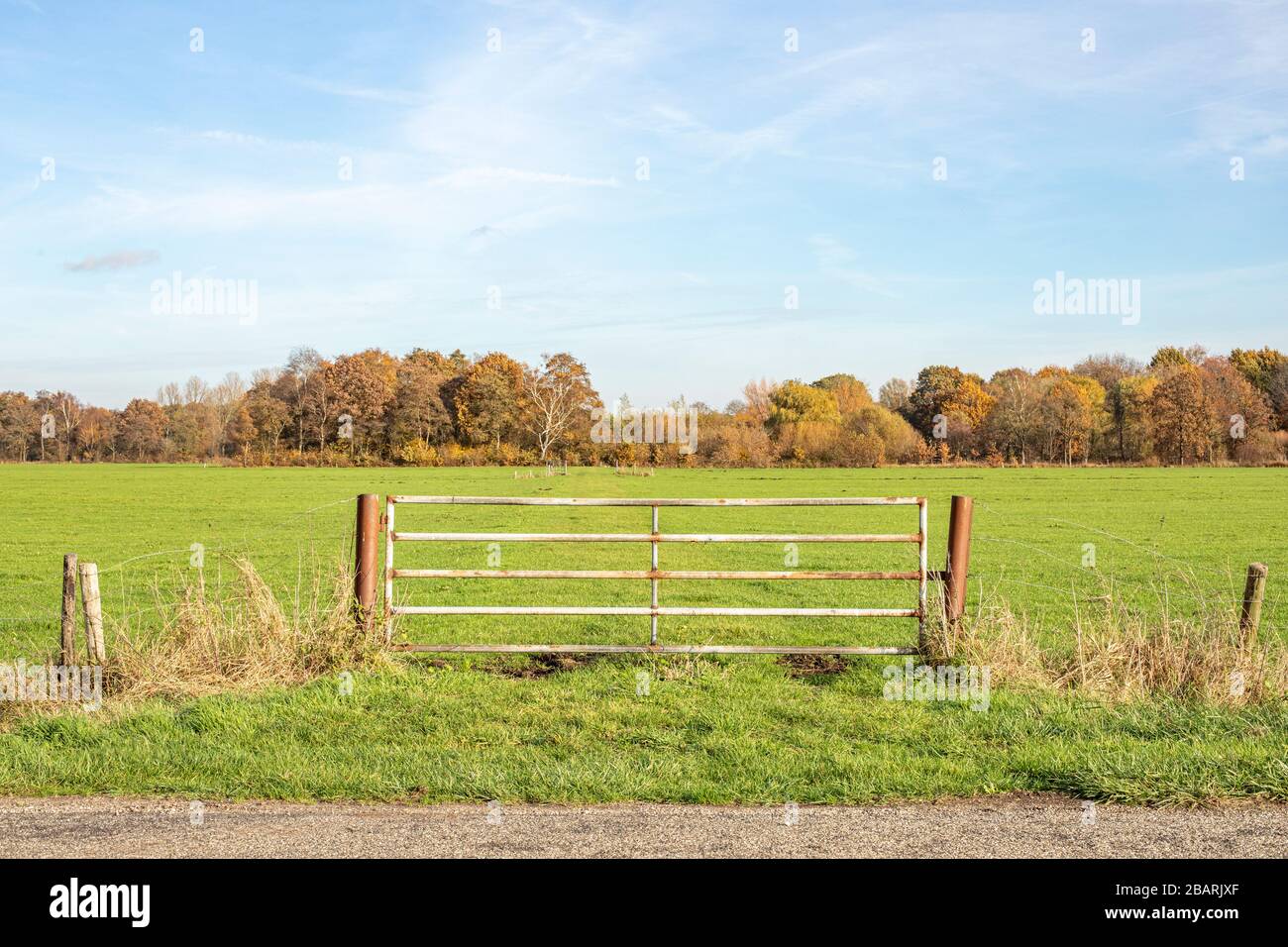Recinzione in filo spinato e cancello chiuso in terra agricola, luminoso verde prato cielo con nuvole Foto Stock