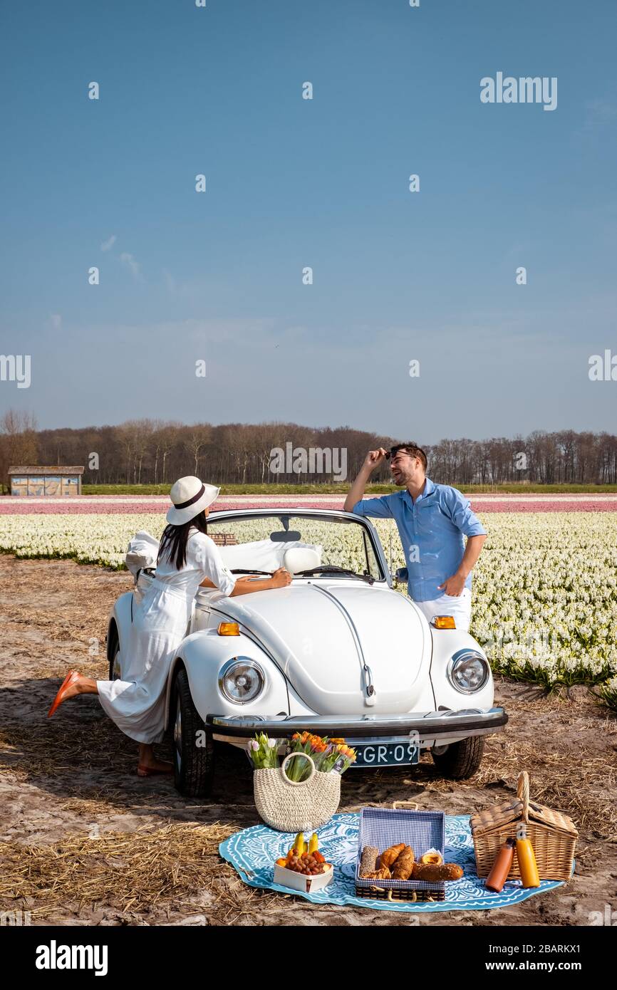 Lisse Olanda Aprile 2019, una classica auto bianca Volkswagen Beetle su un prato fiorito nella regione dei bulbi con fiori primaverili fioriti e. Foto Stock