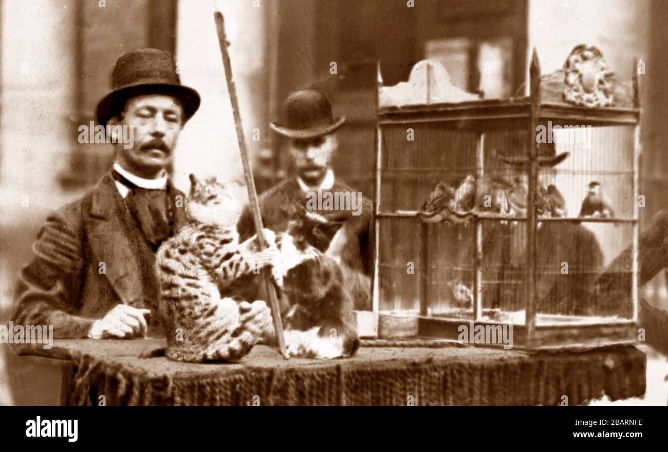 Animatore di strada con i gatti dello spettacolo, periodo vittoriano Foto Stock