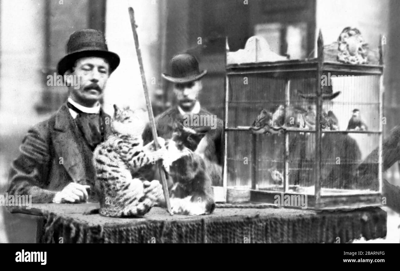 Animatore di strada con i gatti dello spettacolo, periodo vittoriano Foto Stock