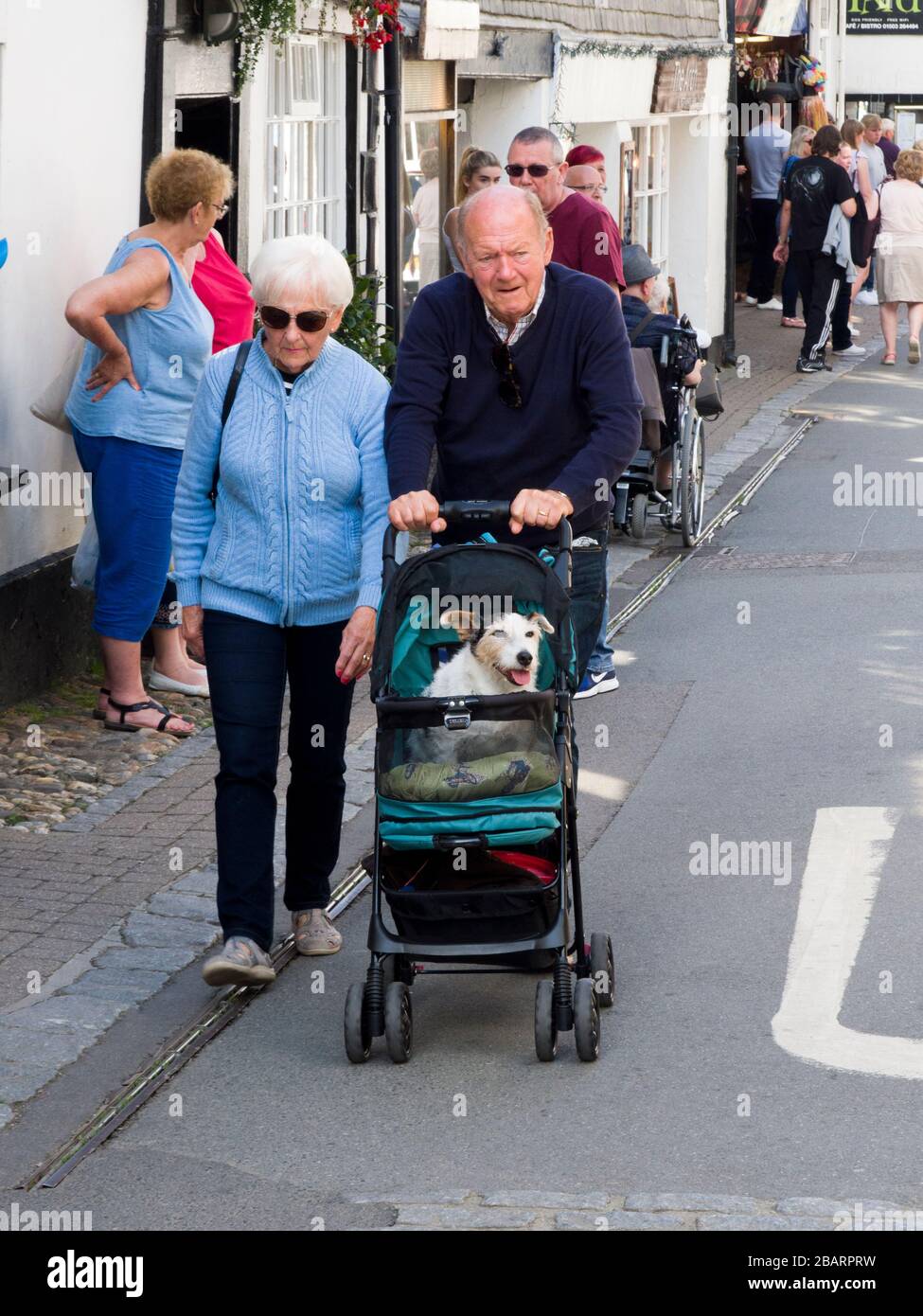 Vecchia coppia che spinge il cane da compagnia in passeggino, Looe, Cornwall, Regno Unito Foto Stock