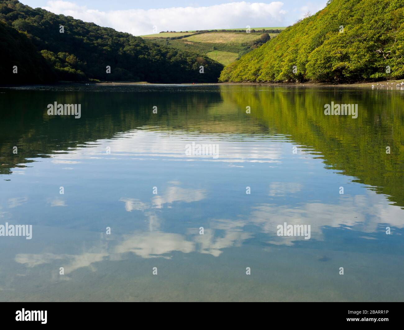 Vista lungo il fiume West Looe, Looe, Cornwall, Regno Unito Foto Stock