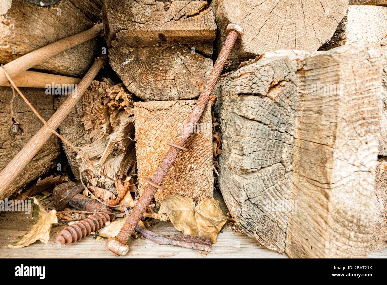 vecchia vite arrugginita e legno vecchio Foto Stock
