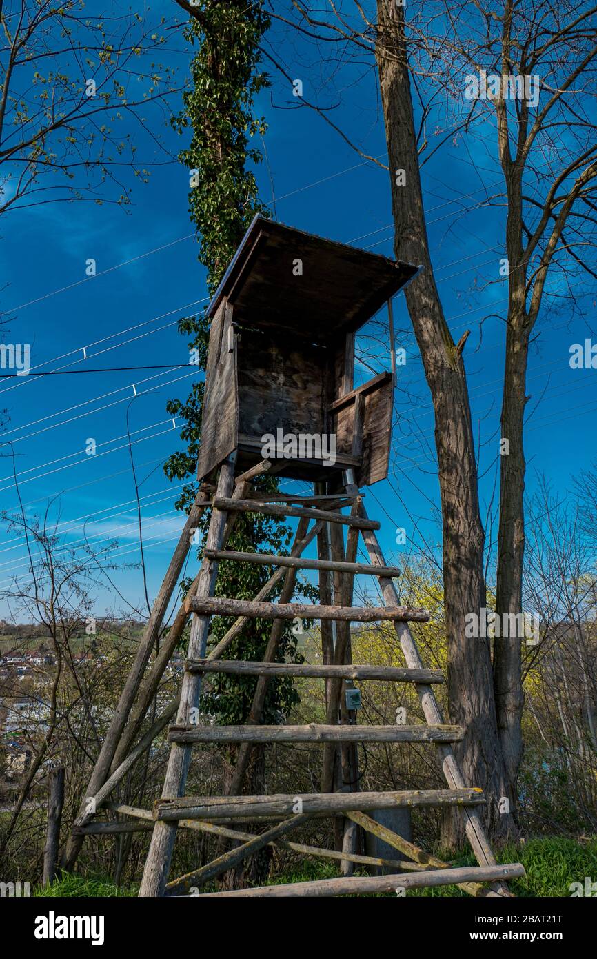 Hunter stand in legno ai margini della foresta Foto Stock
