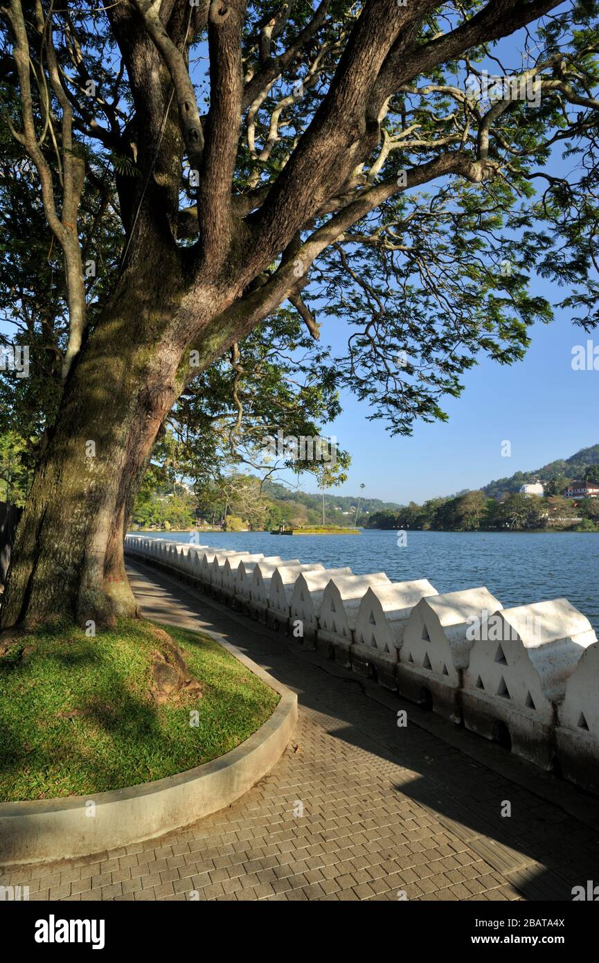 Sri Lanka, Kandy, lago e passeggiata Foto Stock