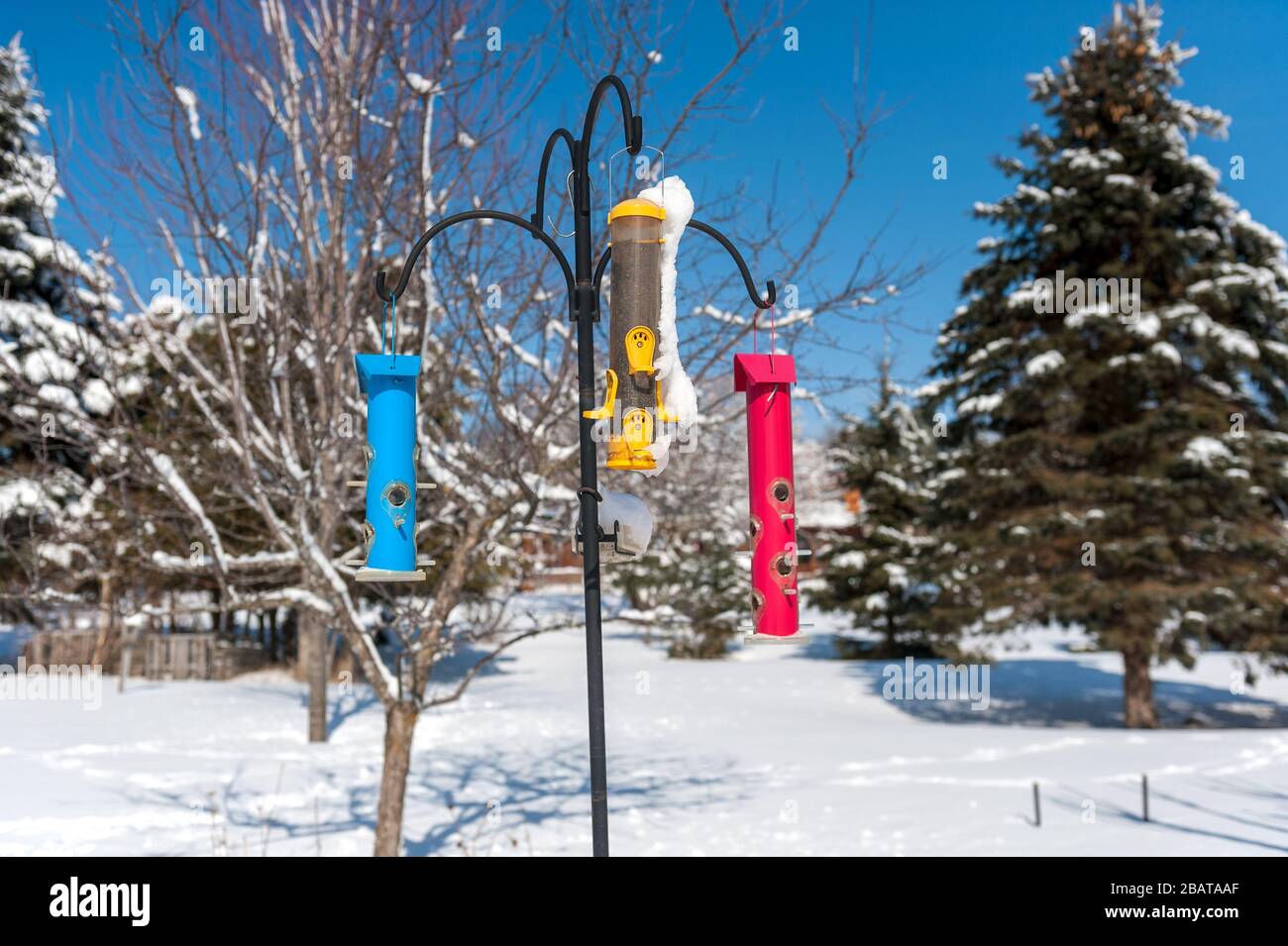 alimentatori di uccelli in inverno Foto Stock
