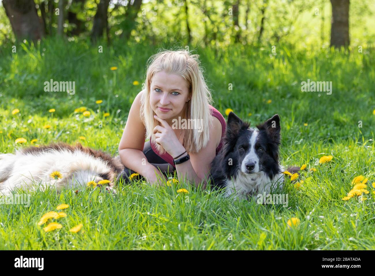 Giovane donna bionda sorridente è sdraiata tra due cani Collies bordo all'aperto e guardando la macchina fotografica. Foto Stock