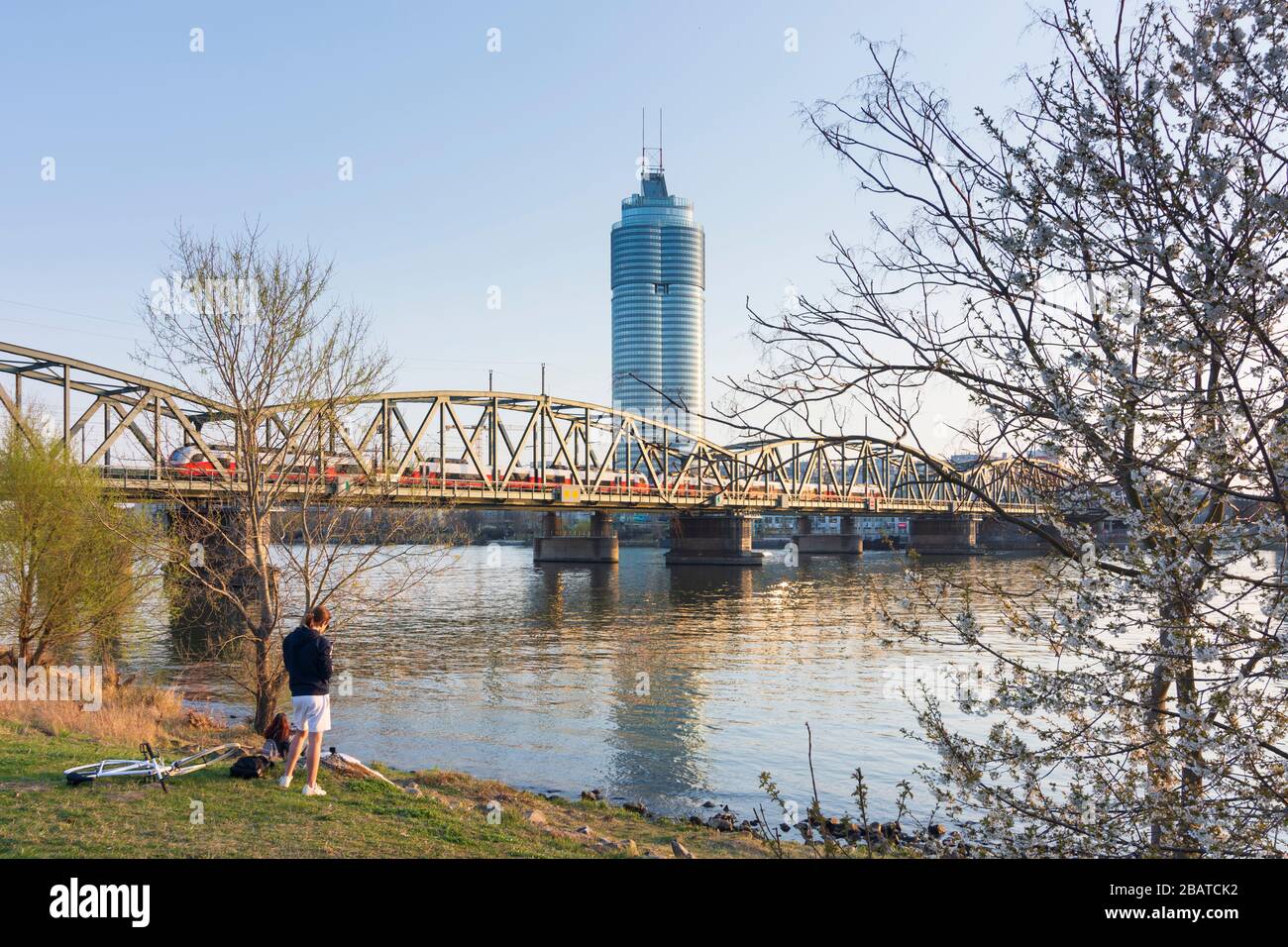 Wien, Vienna: fiume Donau (Danubio), Millennium Tower, ponte ferroviario Nordbahnbrücke, fioritura dei ciliegi, nel 20. Brigittenau, Vienna, Austria Foto Stock