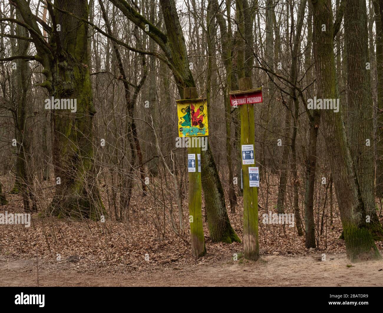 Varsavia/Polonia - 29/03/2020. Il percorso nella foresta di Kabacki con informazioni su come mantenere la distanza a causa della pandemia di coronavirus Foto Stock