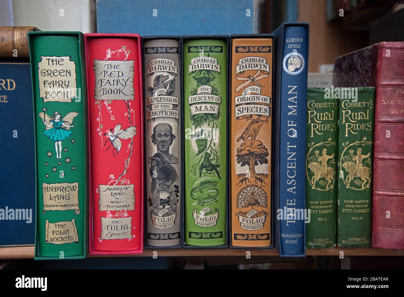 Spine di libri d'epoca in una libreria secondaria a Edimburgo, Scozia, Regno Unito. Foto Stock