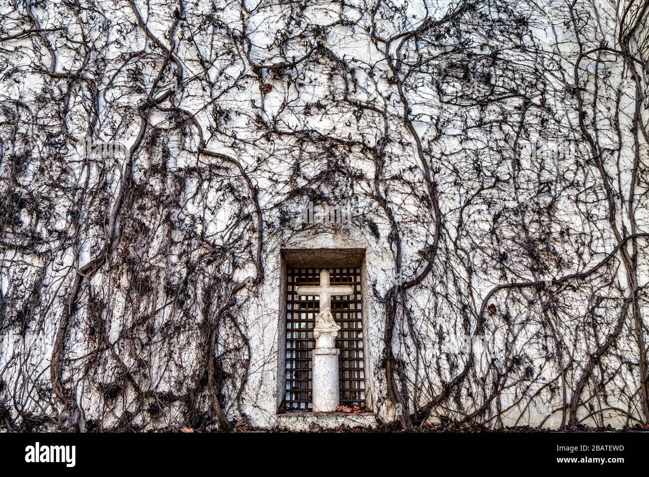 Impianto di arrampicata a secco del muro del Museo Andaluso di Arte Contemporanea in un ex monastero di Santa Maria de las Cuevas, Siviglia, Spagna Foto Stock