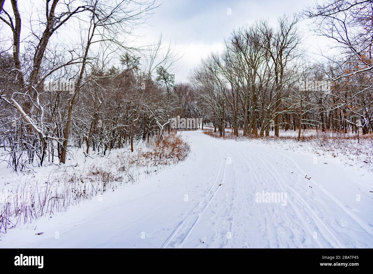 Sentiero coperto di neve curvy in una foresta Midwestern durante l'inverno Foto Stock