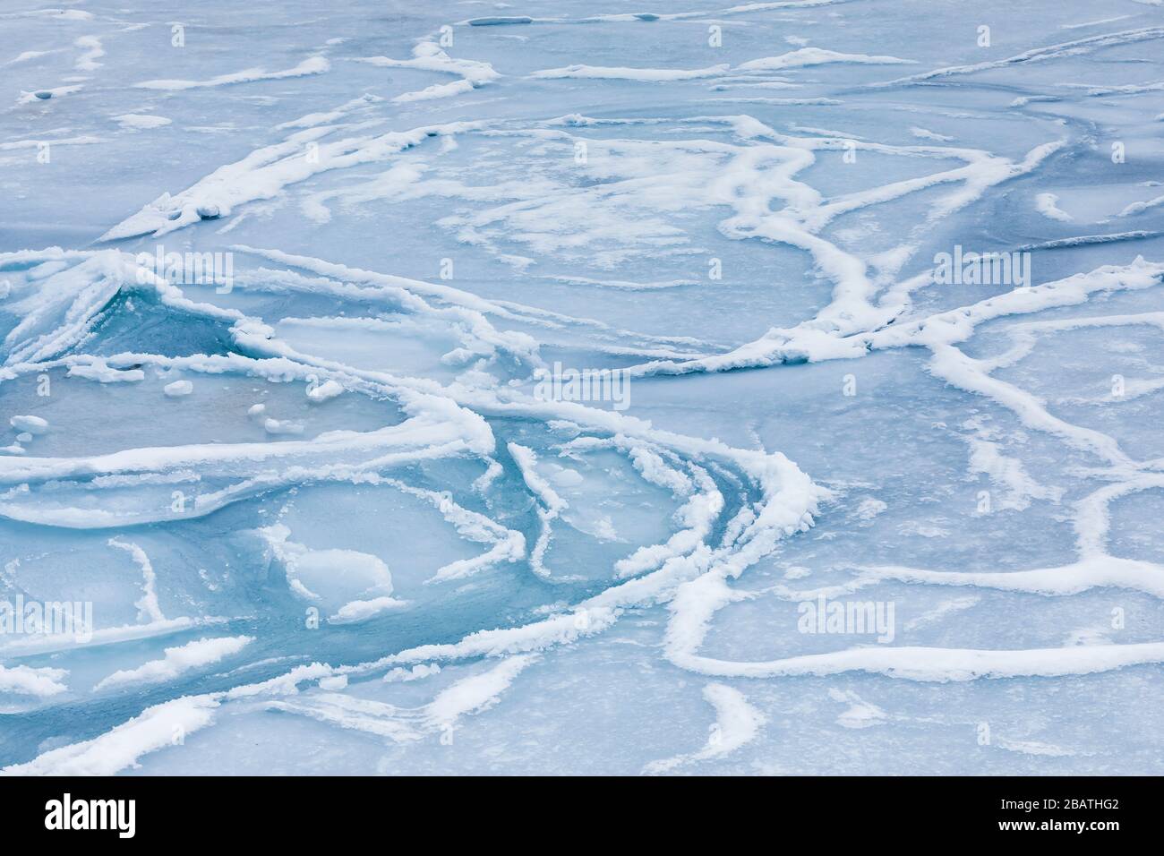 Vorticoso modelli di ghiaccio frittella sulla riva del mare al largo di Fogo Island, Terranova, Canada Foto Stock