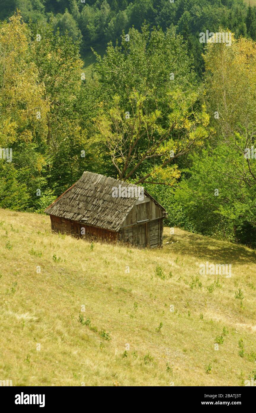 Capannone solitario in legno Foto Stock