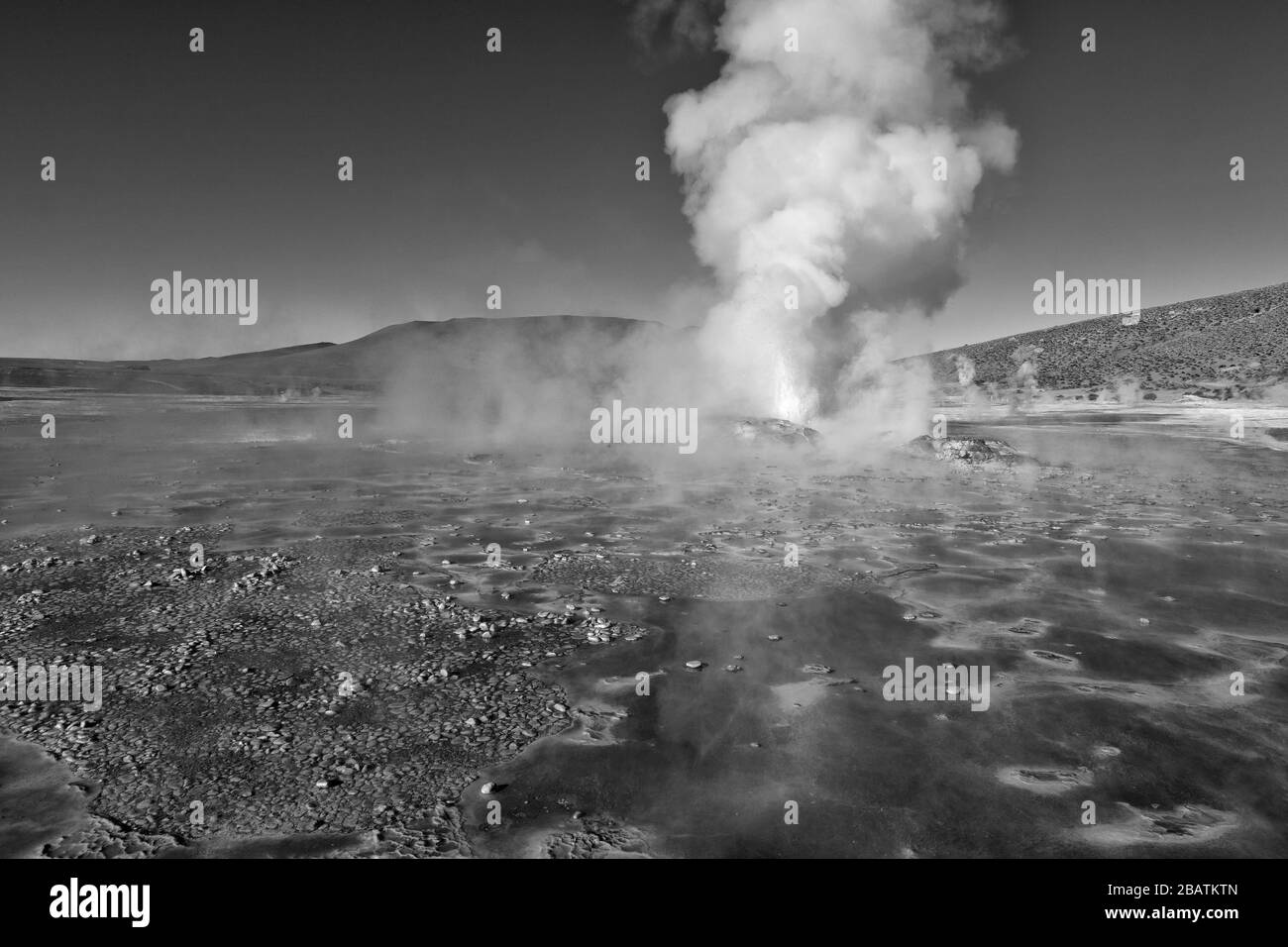 Un geyser crea una colonna di vapore subito dopo l'alba, El Tatio Geyser Field, Andes Mountains, Atacama Desert, Cile Foto Stock