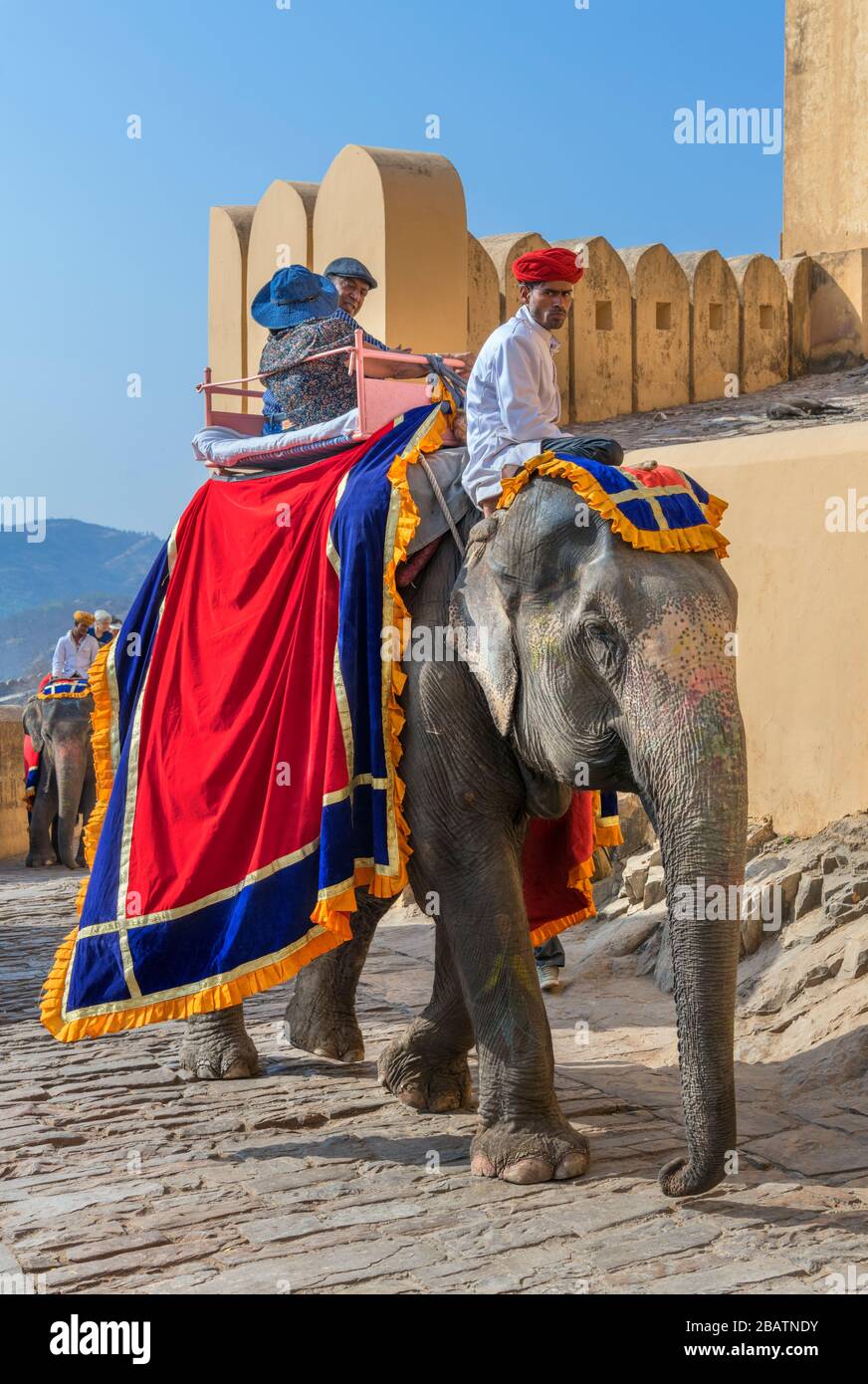 Giro di elefante sul percorso fino al Forte di Amber (Forte di Amer), Jaipur, Rajasthan, India Foto Stock