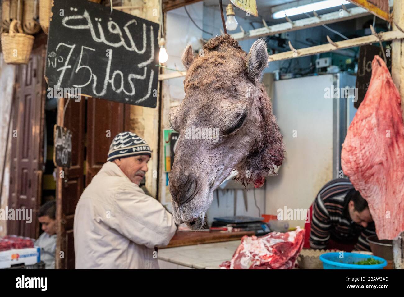 Cammello testa in mostra in un macellaio all'interno di Fes Medina, Fes, Marocco Foto Stock