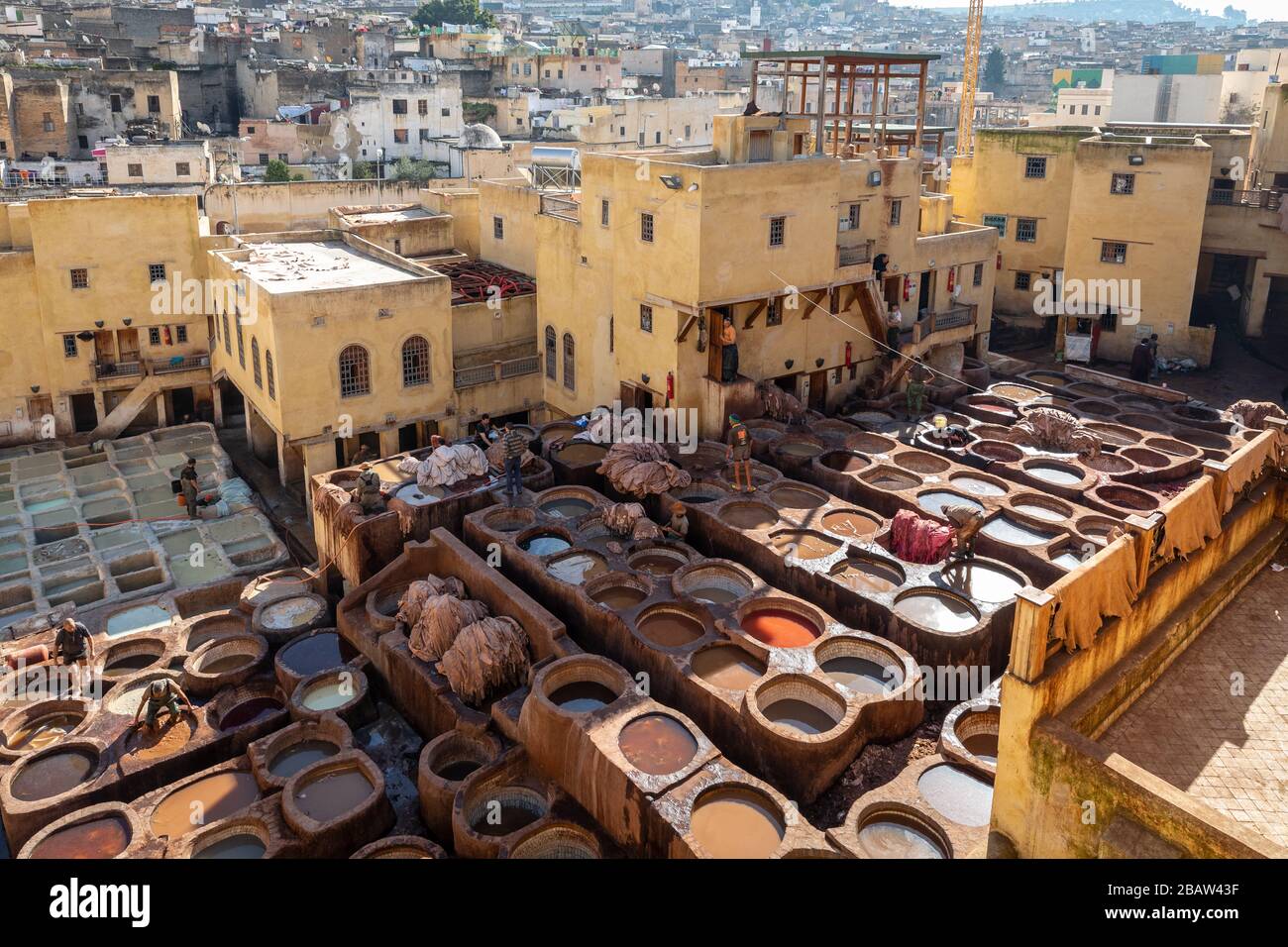 Chouwara (Chouara) Tannery, Fes Medina, Fez, Marocco Foto Stock