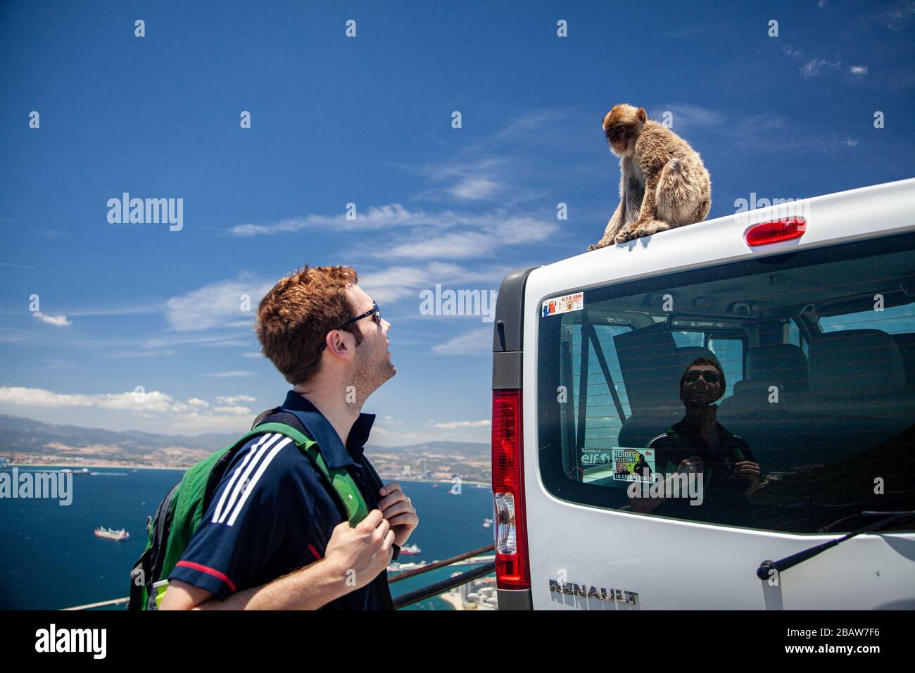 Un uomo guarda una scimmia barbaria (Macaca sylvanus) alla cima della roccia, Gibilterra Foto Stock