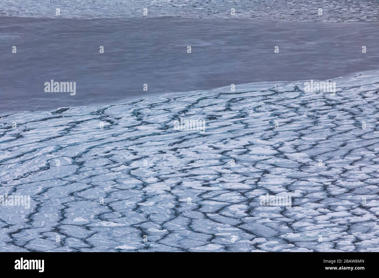 Modelli di ghiaccio frittella sull'acqua salata vicino all'isola di Fogo, Terranova, Canada Foto Stock