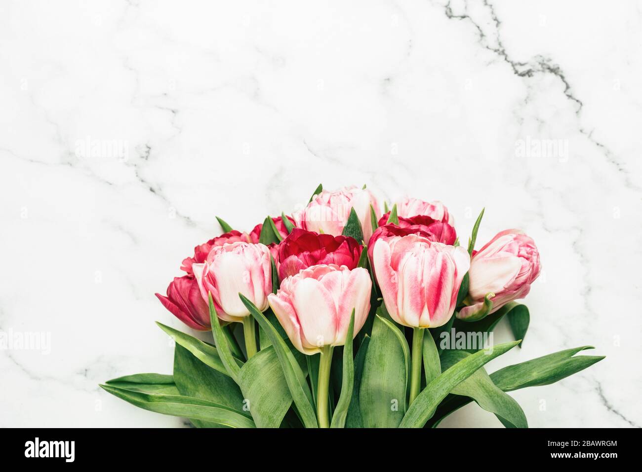 Tulipani rosa su marmo sfondo con spazio per testo, disegno. Fiori del giorno della madre, concetto del regalo del giorno della donna Foto Stock