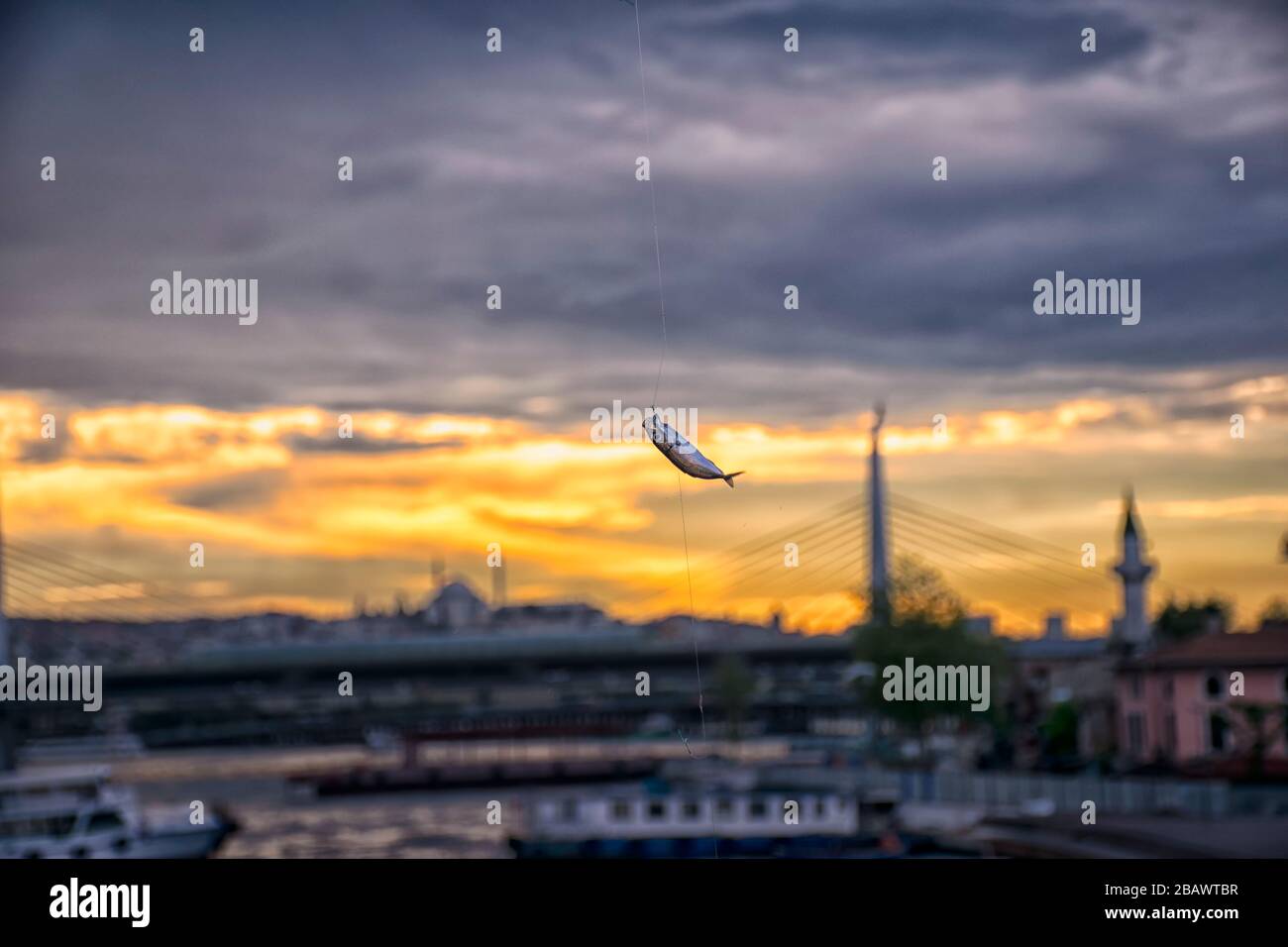 Pesci appesi alla canna da pesca con immagine a luce inversa durante il tramonto. Foto Stock