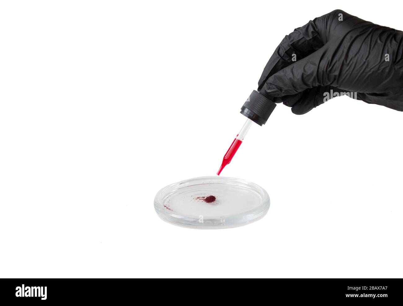 Analisi del sangue su una capsula Petri, una pipetta con liquido rosso. Foto Stock