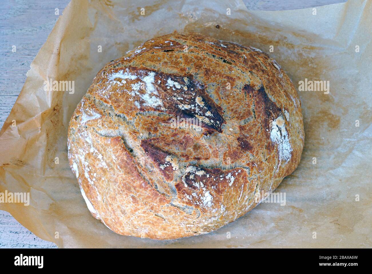 Pane di miracolo di crosta durante la notte senza pane impastato cotto sulla carta pergamena Foto Stock