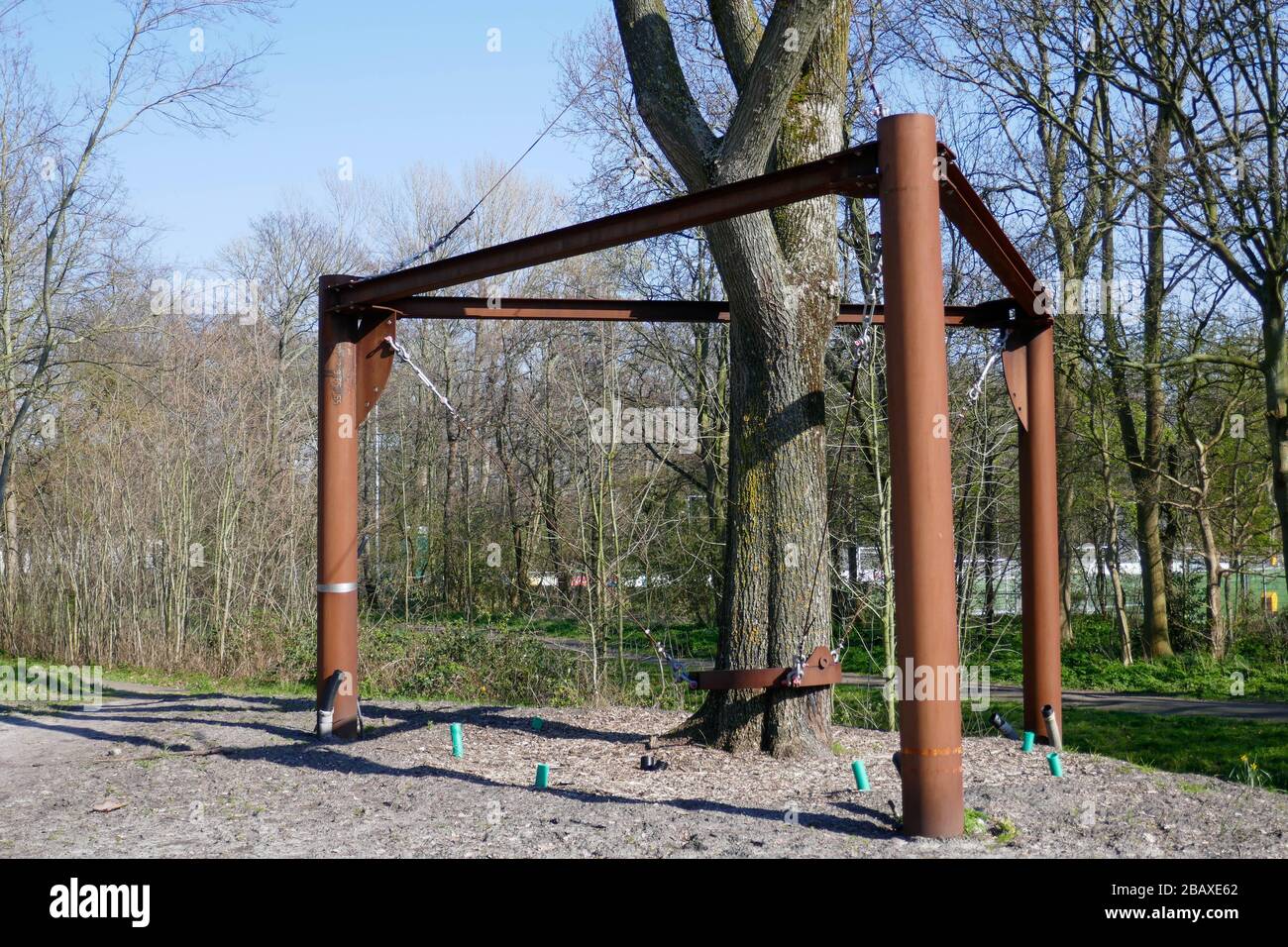 Albero sostituito per protezione per strada allargata in Olanda Foto Stock