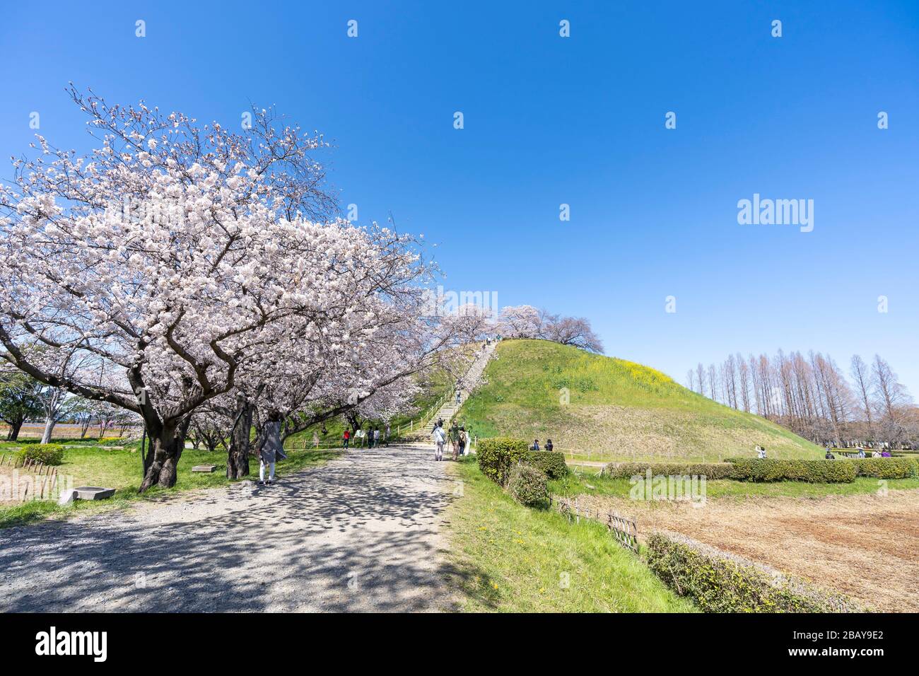 Maruyama kofun, Sakitama antica tomba parco, città di Gyoda, Prefettura di Saitama, Giappone Foto Stock