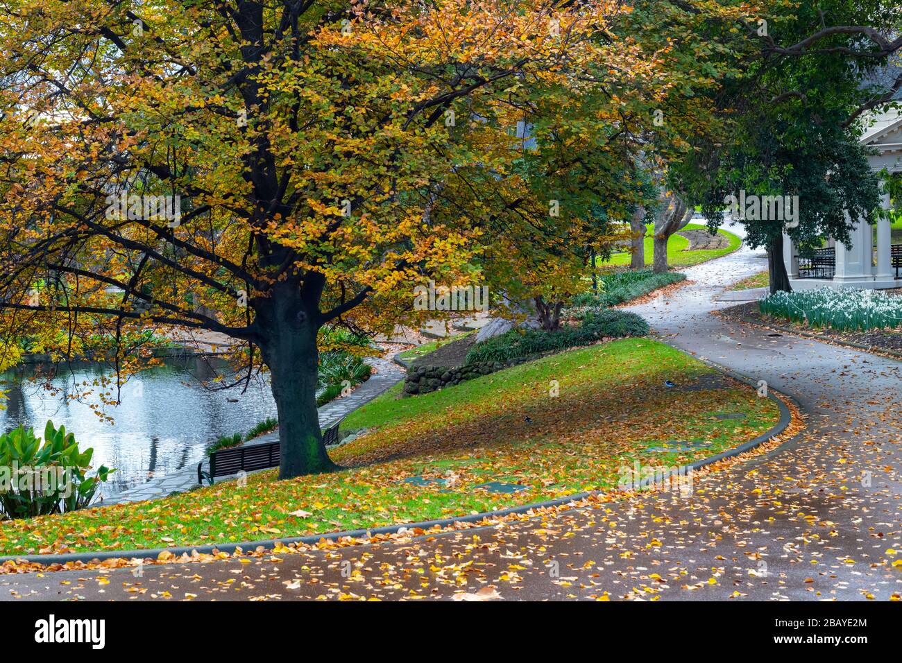 Un sentiero attraversa i Giardini Alexandra in autunno. Foto Stock